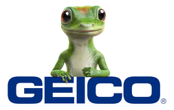 GEICO